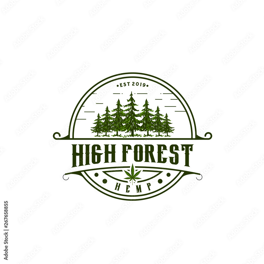 Vintage Pine and Cannabis Logo Vector / Hemp Design Inspiration