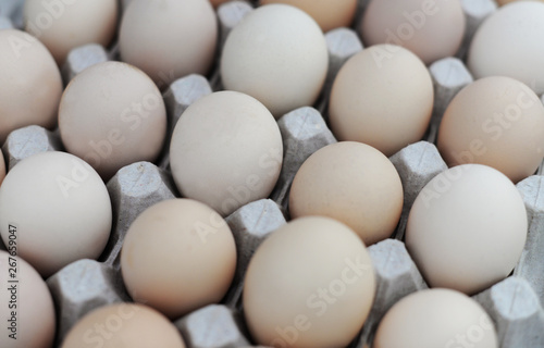 many chicken eggs