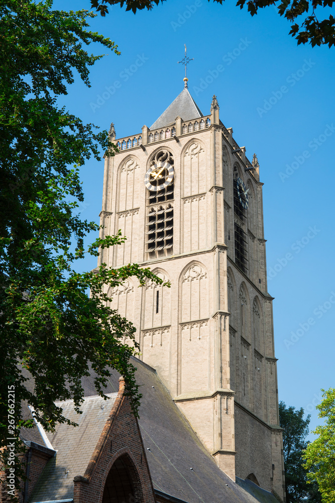 tower of Church Maartenskerk, Tiel, The Netherlands