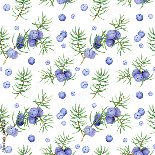 illustration of juniper berry on branch