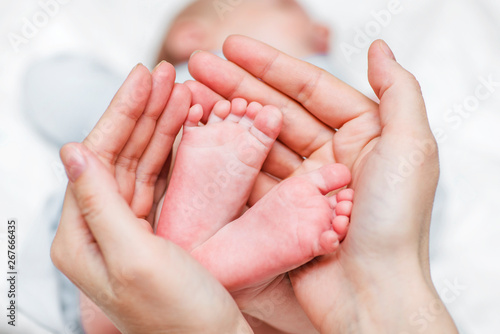 Baby legs. Newborn baby feet in mother's hands. Baby feet cupped into mothers hands