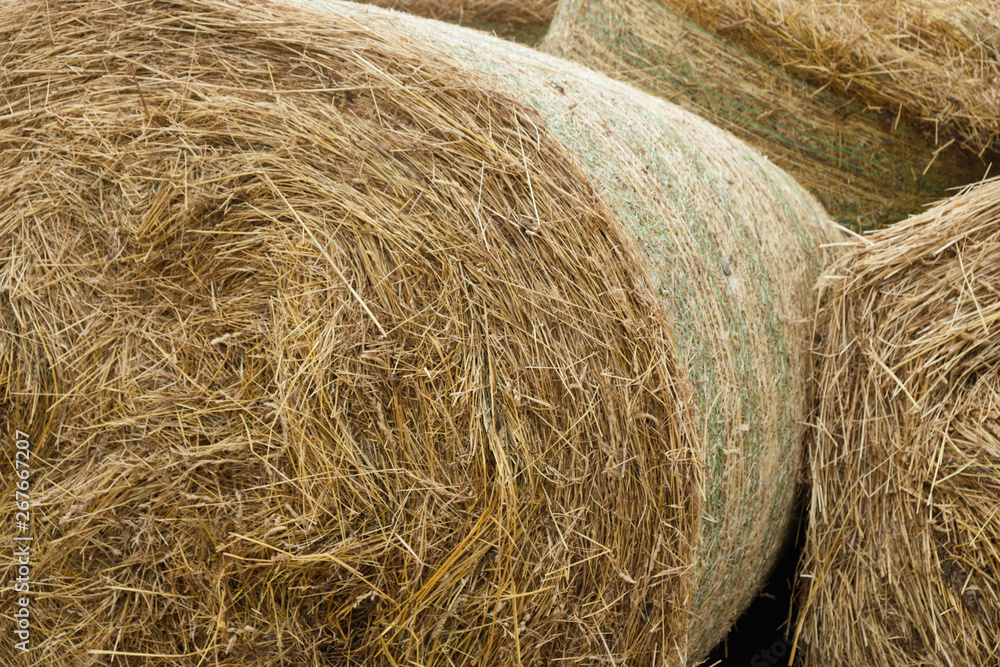Haystacks on horse farm close up