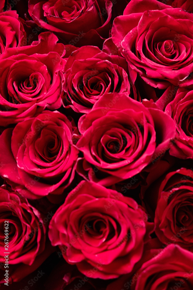 Bouquet of flowers. Red rose Bouquet of flowers. Red rose