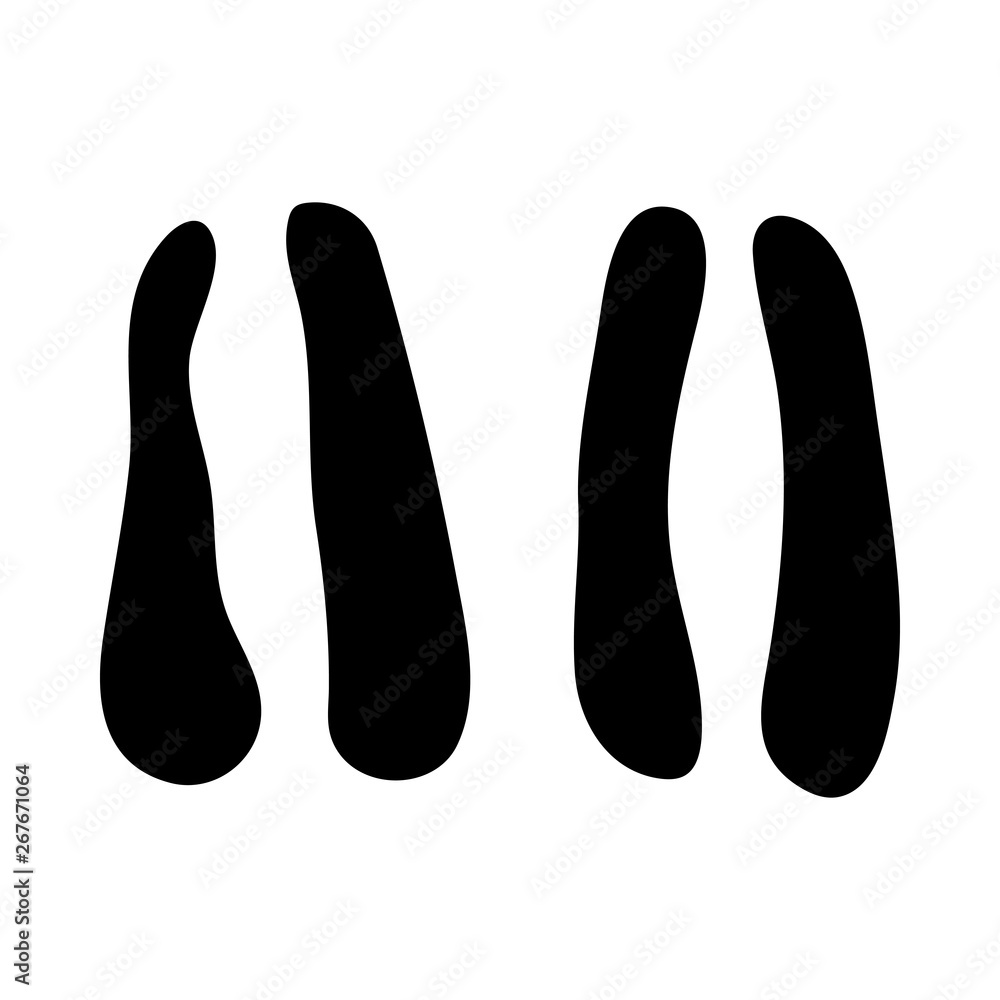 Chamois Footprint Chamois Footprint