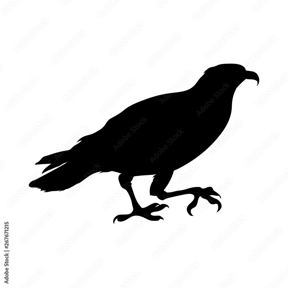 Bird Silhouette Bird Silhouette