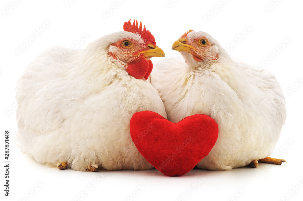 Chickens and heart.