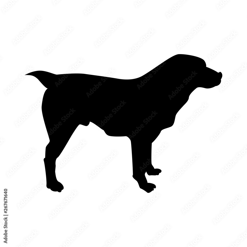 Central Asian Sheep Dog Silhouette