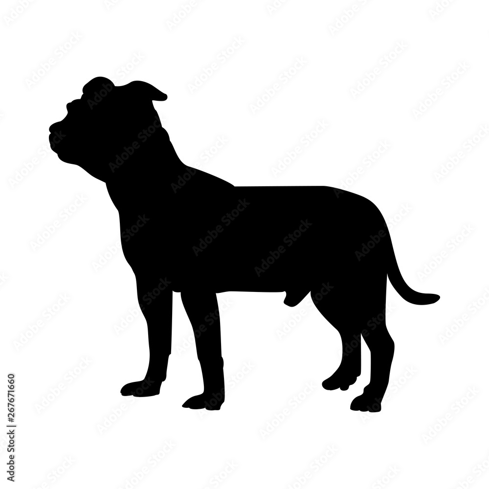 Staffordshire Terrier Dog Silhouette Staffordshire Terrier Dog Silhouette