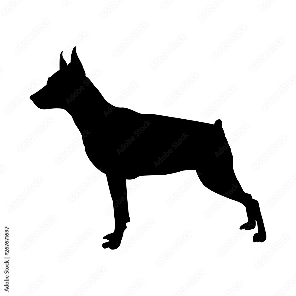 Miniature Pinscher Dog Silhouette Miniature Pinscher Dog Silhouette
