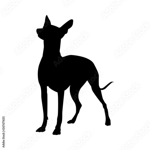 Mexican Naked Dog Silhouette