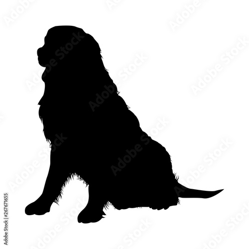 Bernese Mountain Dog Silhouette
