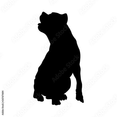 Pit Bull Terrier Dog Silhouette