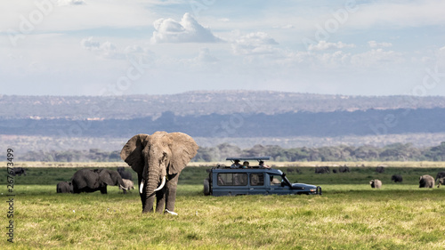 Photography African Safari Adventure With Elephants and Vehicle