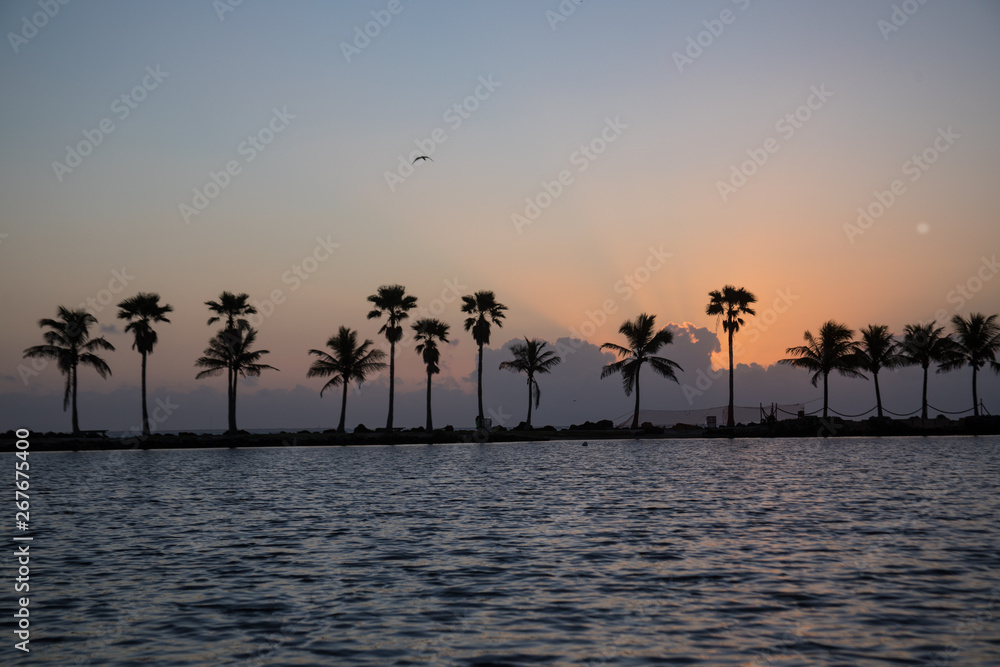 Fotografie Sunrise at Matheson Hammock, Florida