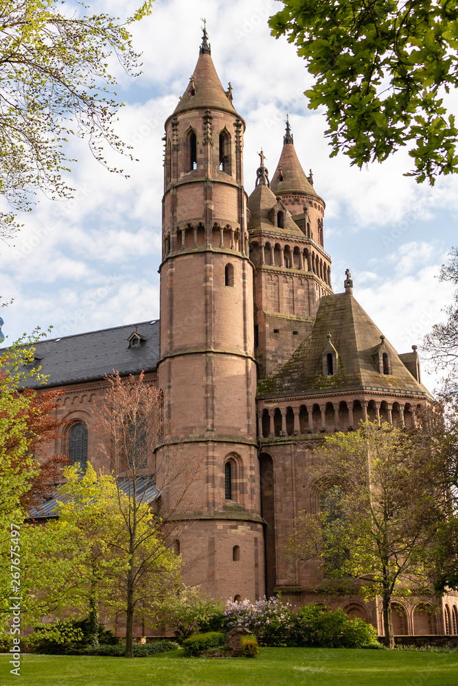 Cathedral in Worms framed from tree branches Cathedral in Worms framed from tree branches