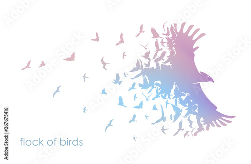 figures multicolored flock of flying birds on white