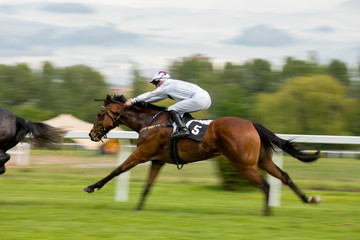 Race horse with jockey on the home straight. Shaving effect.