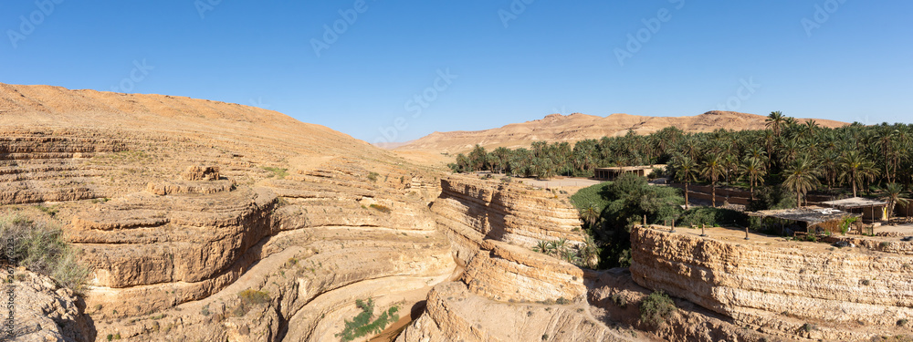 Εκτύπωση καμβά Canyon de Midès, Tozeur, Tunisie