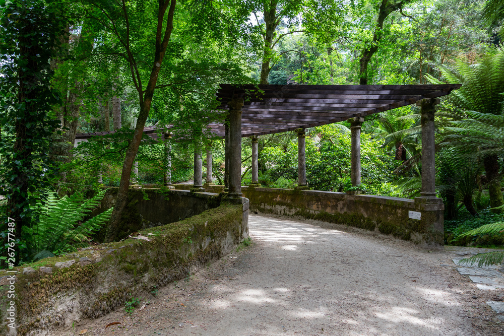 natural forest park Pena in Sintra, Portugal natural forest park Pena in Sintra, Portugal