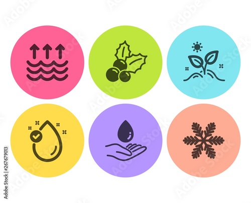 Vitamin e, Water care and Evaporation icons simple set. Grow plant, Christmas holly and Snowflake signs. Oil drop, Aqua drop. Nature set. Flat vitamin e icon. Circle button. Vector