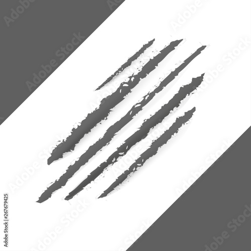 Fototapeta Naklejka Na Ścianę i Meble -  Claws scratching illustration. Vector design. Realistic scratch claws of animal. Hole in sheet of paper with torn edges.