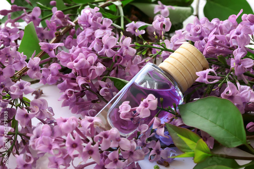 lilac flower essence   Syringa vulgaris
