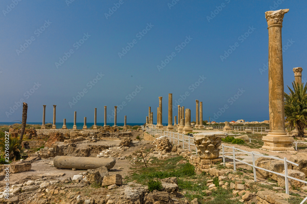 romans ruins  Tyre Sur in South Lebanon Middle east