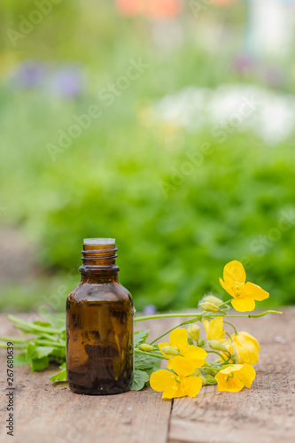 pharmaceutical bottle of medicine from Yellow flowers of Chelidonium majus, celandine, nipplewort, swallowwort or tetterwort on a wooden table. Growing on street blooming in spring celandine.