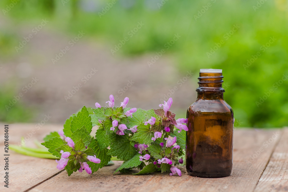 pharmaceutical bottle of medicine from Thymus vulgaris, common thyme, German, garden or just thyme on a wooden table. Preparation of medicinal plants. Ready potion of grass. Ethnoscience. pharmaceutical bottle of medicine from Thymus vulgaris, common thyme, German, garden or just thyme on a wooden table. Preparation of medicinal plants. Ready potion of grass. Ethnoscience.