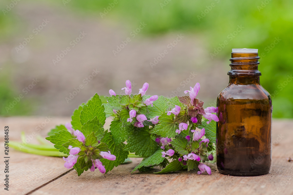 pharmaceutical bottle of medicine from Thymus vulgaris, common thyme, German, garden or just thyme on a wooden table. Preparation of medicinal plants. Ready potion of grass. Ethnoscience. pharmaceutical bottle of medicine from Thymus vulgaris, common thyme, German, garden or just thyme on a wooden table. Preparation of medicinal plants. Ready potion of grass. Ethnoscience.