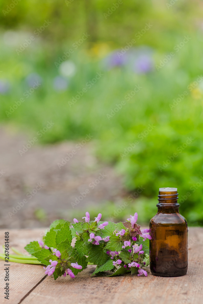 pharmaceutical bottle of medicine from Thymus vulgaris, common thyme, German, garden or just thyme on a wooden table. Preparation of medicinal plants. Ready potion of grass. Ethnoscience. pharmaceutical bottle of medicine from Thymus vulgaris, common thyme, German, garden or just thyme on a wooden table. Preparation of medicinal plants. Ready potion of grass. Ethnoscience.