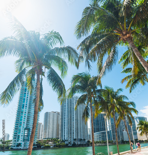Palm trees and skyscrapers on Miami Riverwalk © Gabriele Maltinti