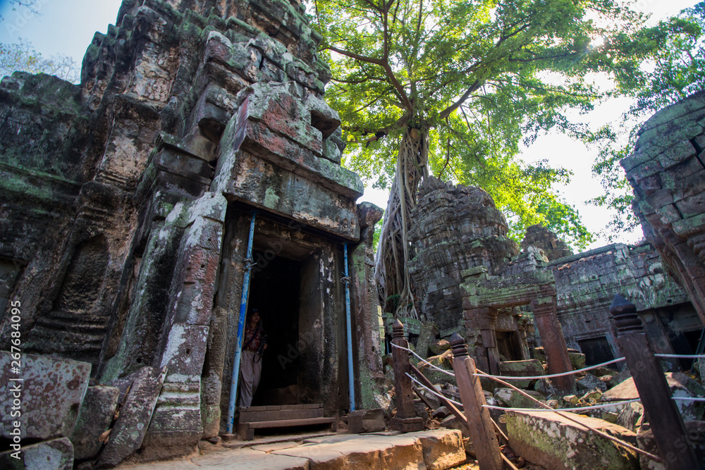 Fototapeta premium cambodja Ta Prohm temple Angkor Wat