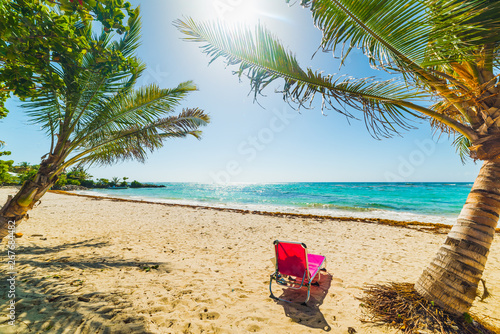Pink beach chair under palm trees in Guadeloupe