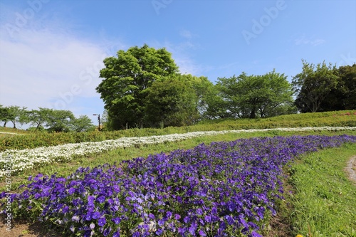 馬見丘陵公園