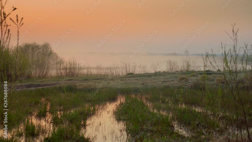 Sunrise, in cold tones, frosty morning grass in hoarfrost. Twilight on the nature in the field Sunrise, in cold tones, frosty morning grass in hoarfrost. Twilight on the nature in the field