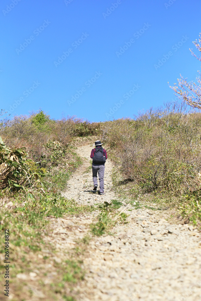 Obraz premium 禿岳登山道を登る女性