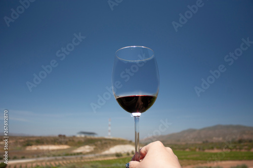  Female hand rising towards blue sky and holding cup served with red wine