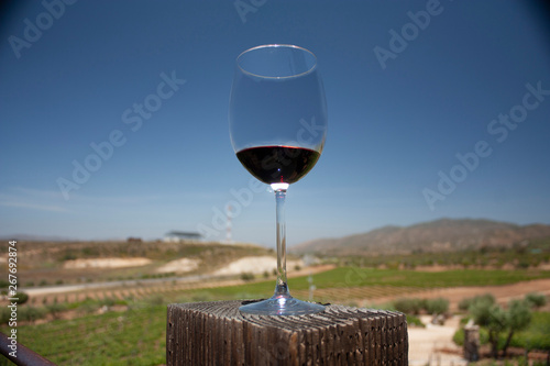 Glass served with red wine in mountainous landscape of vinicultural fields in Baja California Mexico photo