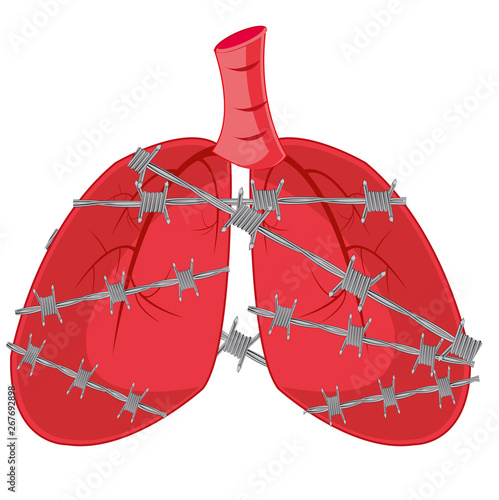 Internal organs of the person light in barbed wire