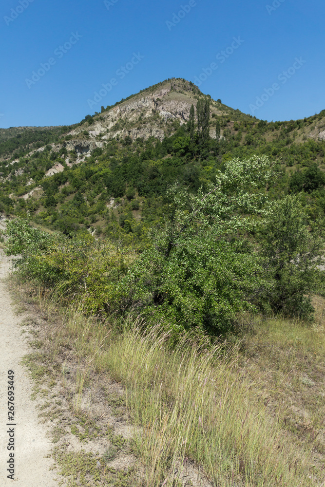 Fototapeta premium Summer landscape of Rock formation The Stone Dolls of Kuklica near town of Kratovo, Republic of North Macedonia