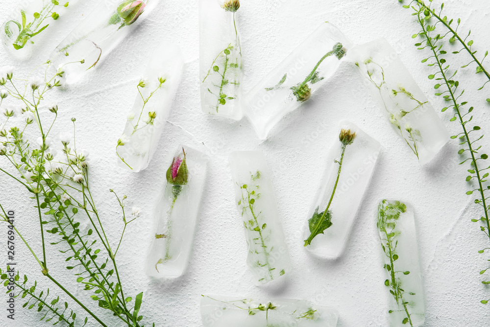 Ice cubes with flowers on white background, flat lay Ice cubes with flowers on white background, flat lay