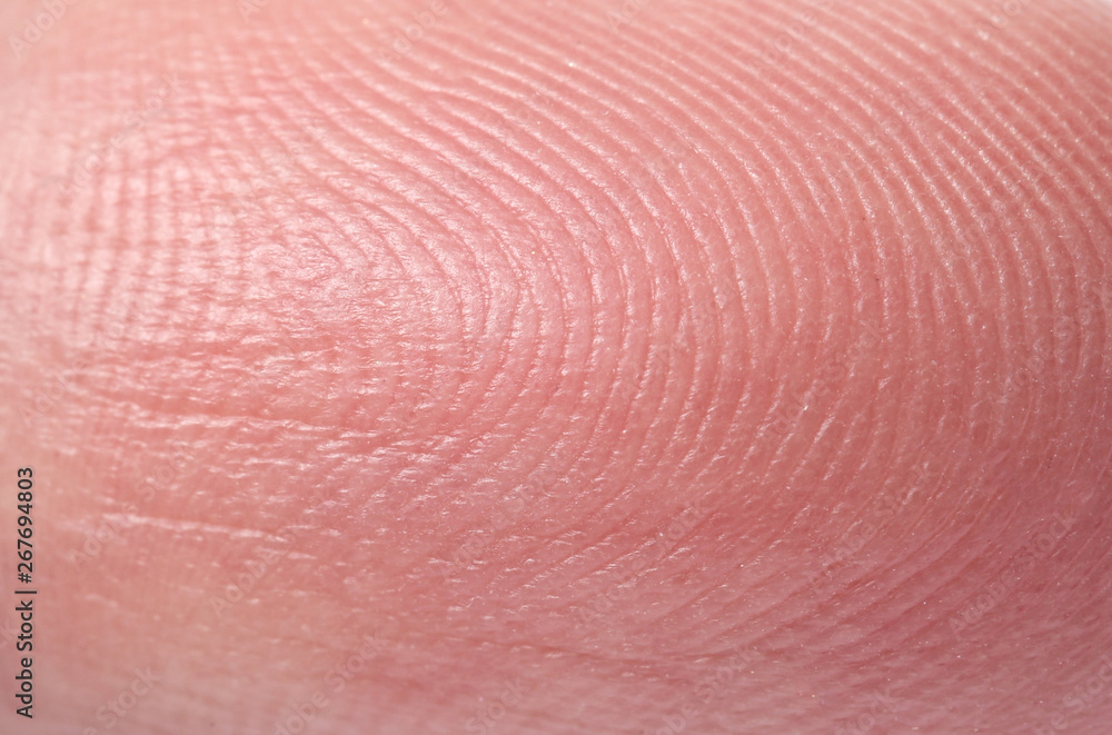 Closeup view of human finger. Friction ridge pattern Closeup view of human finger. Friction ridge pattern