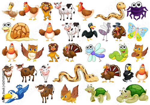 Set of animal character