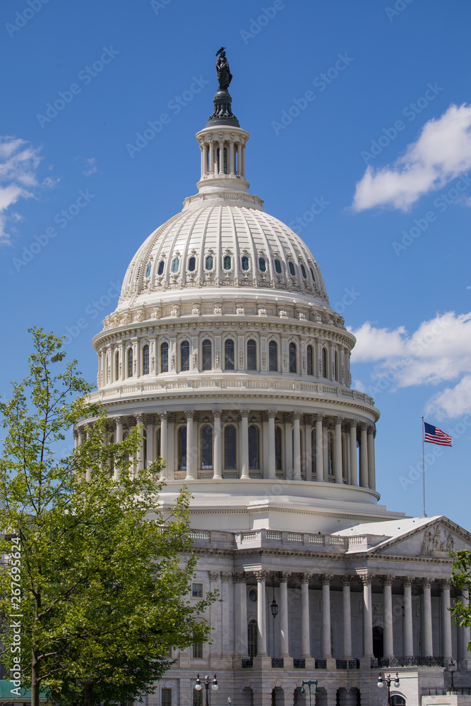 Obraz premium Close up US capitol Building