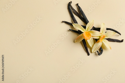 Flat lay composition with vanilla sticks and flowers on color background. Space for text