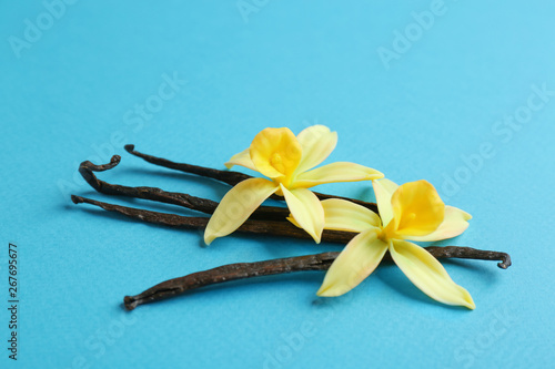 Vanilla sticks and flowers on blue background