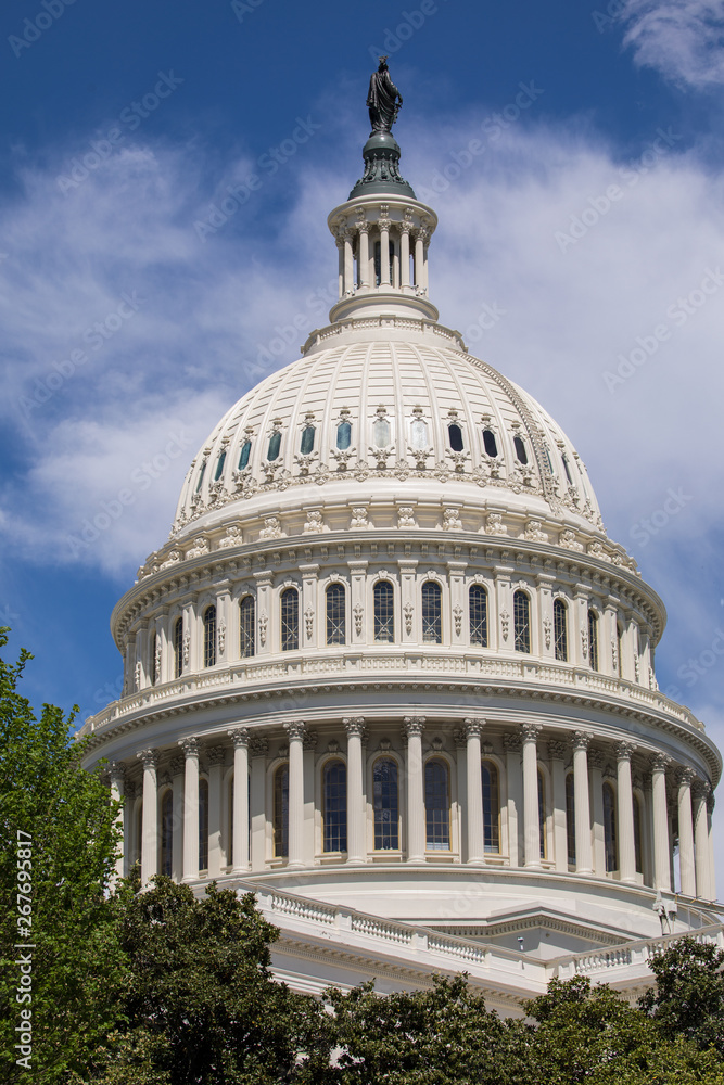 Fototapeta premium US Capitol building dome
