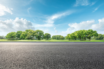 Country road and green forest natural landscape under the blue sky