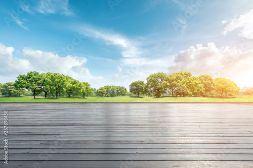 Empty wooden road and green forest natural landscape